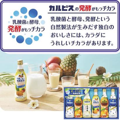 <カルピス>ギフトの画像